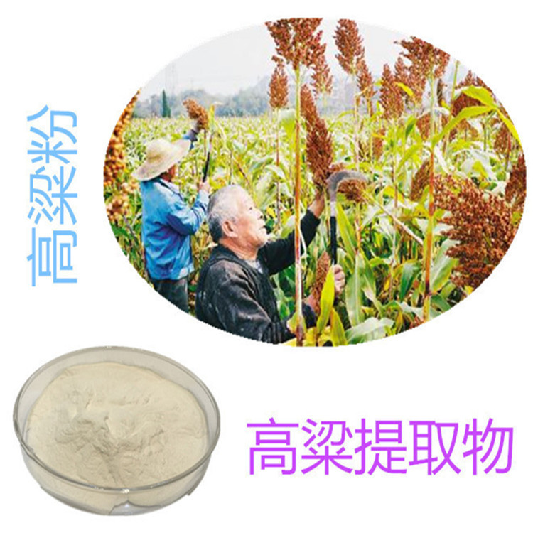 斯諾特生物 深耕植物提取物研發，以高粱提取物為核心打造健康產品矩陣