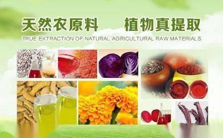 河北板塊異軍突起 九只上市公司股價翻番，植物提取物研發成新熱點